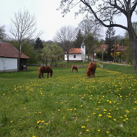 Szanticska- Domokos Haz Vendégház *