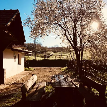 Szanticska- Domokos Haz Abaujlak