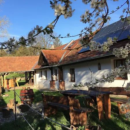 Guest house Szanticska- Domokos Haz